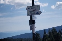 20250505_095700