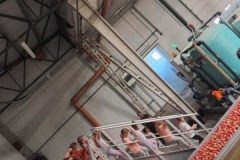 552950522_1310516907525711_6457362381231471709_n