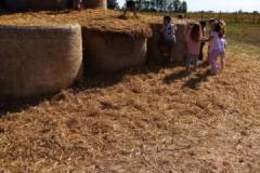 554493214_1310516490859086_8368831360677641485_n