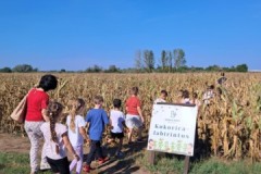 554951753_1310516830859052_4309145916044518620_n