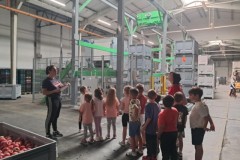 555106393_1310516934192375_6165452703764818761_n