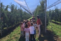 555106395_1310516700859065_1874481183900623147_n