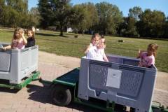 555446490_1310516380859097_91887471330401639_n