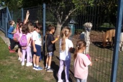 555456380_1310517144192354_8135342237734304898_n