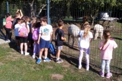 555458975_1310517240859011_8049364797125611676_n