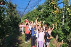 555524344_1310516670859068_7686960849275094729_n