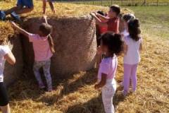 555866303_1310516454192423_5837198504417191300_n