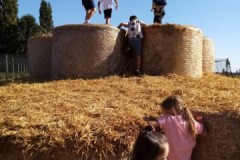 555882837_1310517190859016_6286268436852703103_n