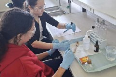 05ad2eef-5503-4dcf-bd24-6d8f7b2113ab