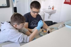 1a7b81cf-cd71-4f55-825d-62d0f120a1f9