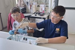 21ff3ed9-e52e-4159-8742-39c698b895e6